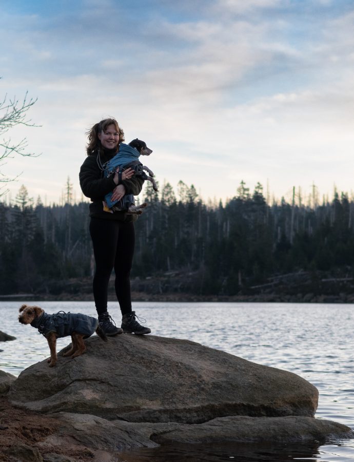 Oderteich – Wolfswarte (17,3 km)