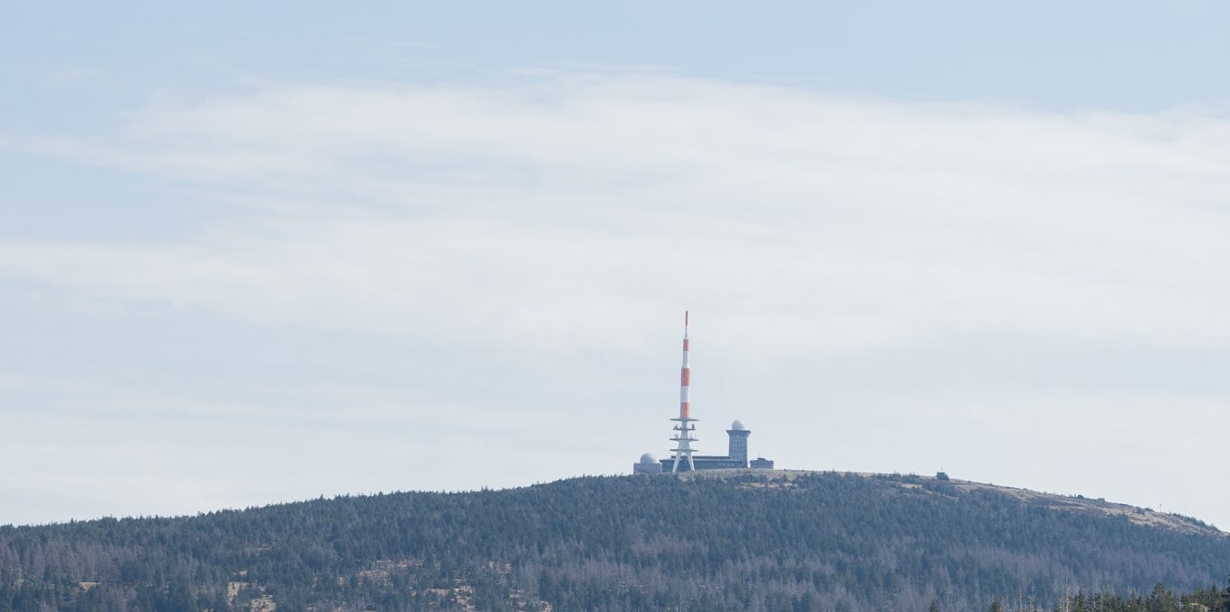 Rund ums Torfhausmoor mit Hund (6,29 km)