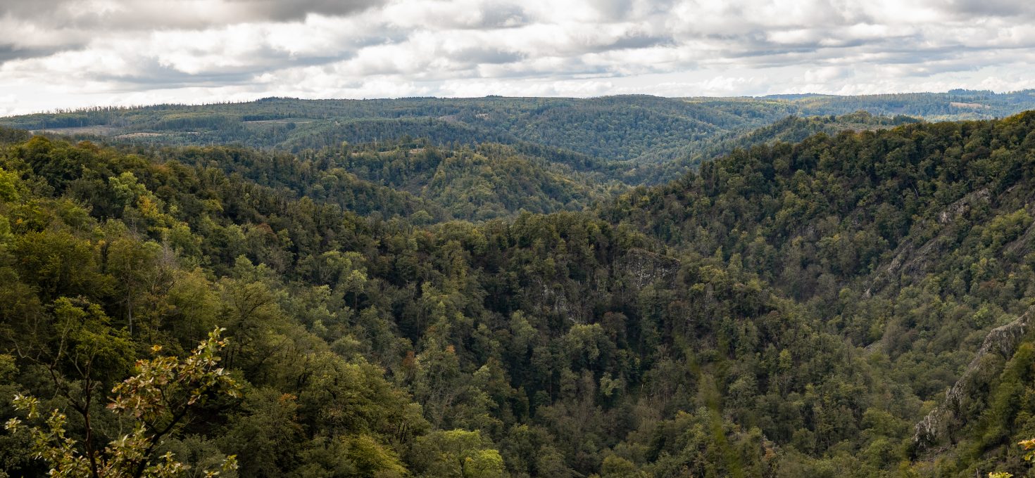Bodetal – Hexentanzplatz, Prinzensicht, Königsruhe (10,5km)