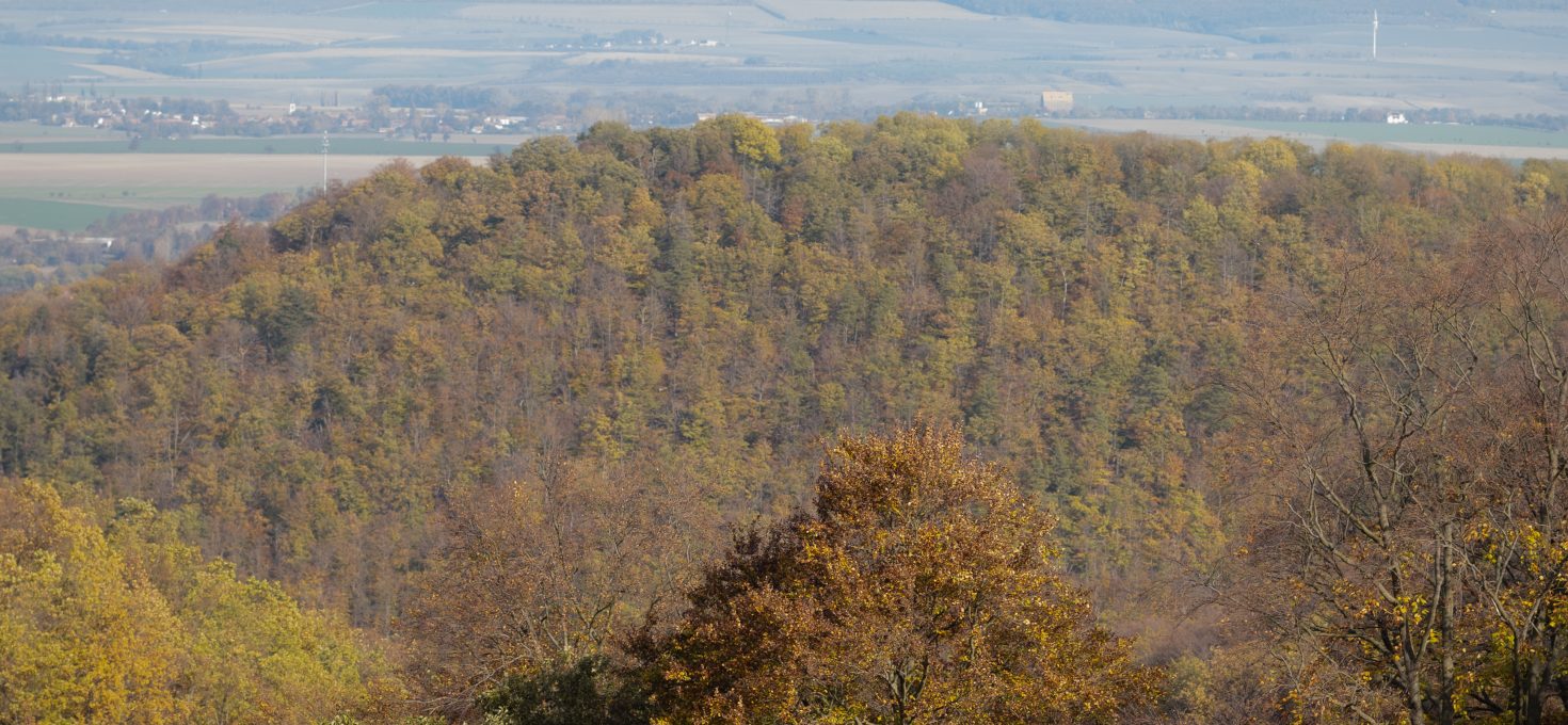 Wandern um Wernigerode: Armeleuteberg – Scharfenstein – Peterberg