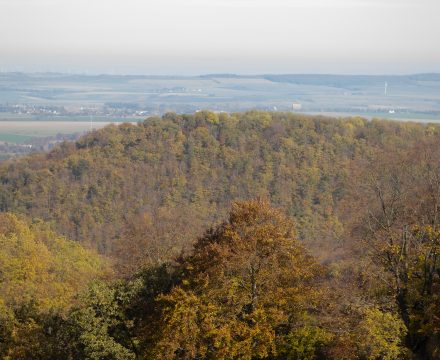 Wandern um Wernigerode: Armeleuteberg – Scharfenstein – Peterberg