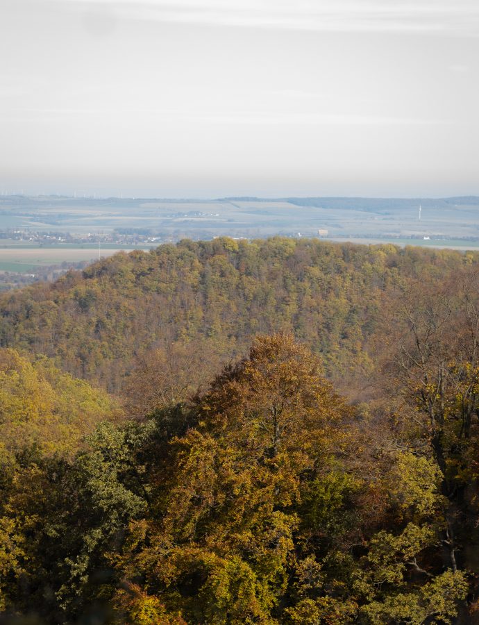 Wandern um Wernigerode: Armeleuteberg – Scharfenstein – Peterberg